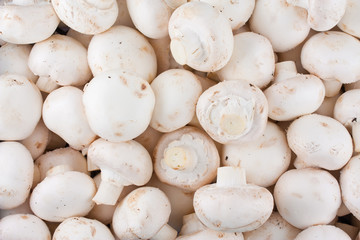 Fresh whole mushrooms