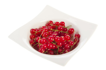 White bowl with red currants