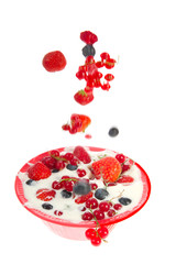 yogurt with fresh fruit