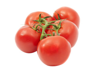 tomatoes