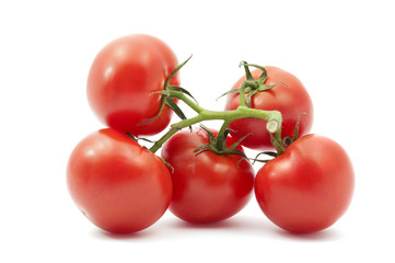 tomatoes
