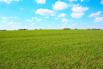 Horticulture Field