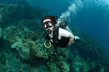 Foto op Plexiglas female scuba diver © JonMilnes