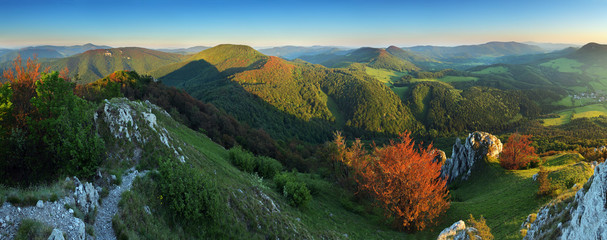 Summer panorama