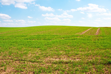 green hill, in blue sky