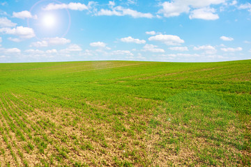 Fototapeta na wymiar green hill, in blue sky