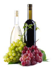 Bottles of red and white wine with grapes