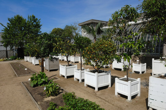 orangerie