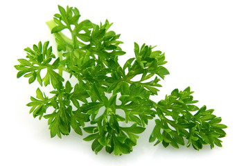fresh parsley