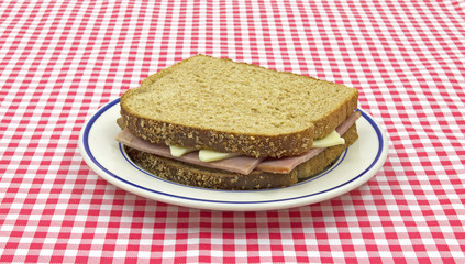 Sandwich on red checkerboard cloth