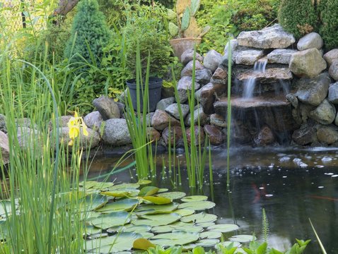 Ornamental pond with waterfall in garde