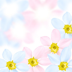 Obraz na płótnie Canvas Colored flower background