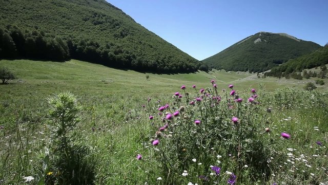 parco nazionale del pollino