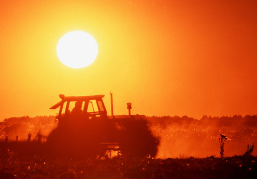 Tractores al atardecer armando Rollos para el ganado Bovino