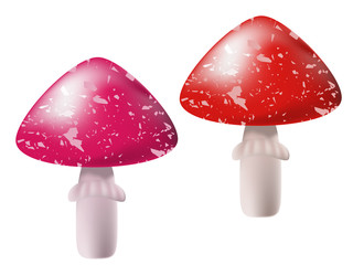 Mushrooms