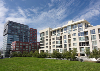 Mission Creek Park with Modern Buildings in the background