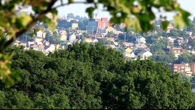 Green City View From A Hill, HD