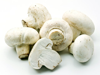 White mushrooms over white background