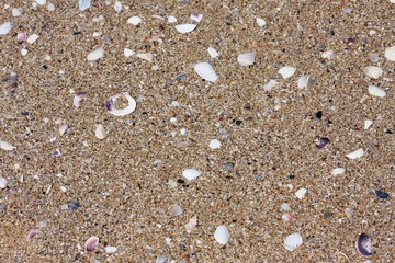 Summer beach background