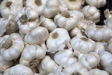 Garlic spices