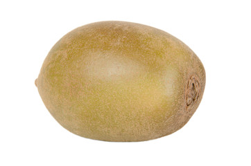 Kiwi, Kiwifruit, Actinidia chinensis