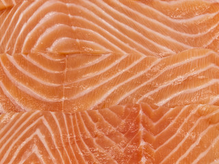 Salmon Background