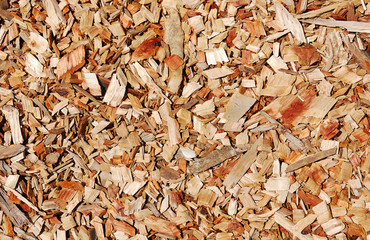Wooden chips layer