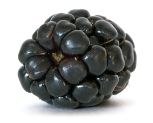blackberry