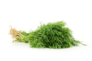 Fresh dill isolated on white