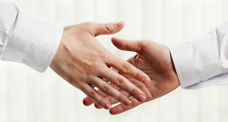 Obraz na płótnie Canvas Handshake
