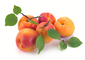Apricot with leaves on a white background