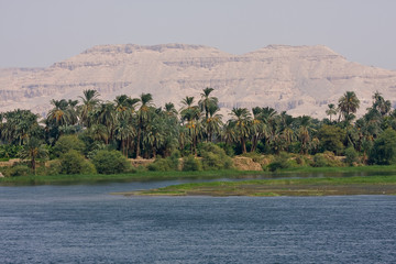 A Nile river bank, Egypt