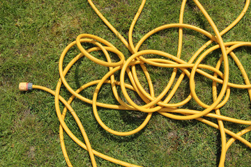 Yellow hose pipe on a green grass lawn.