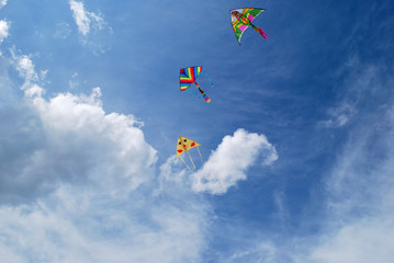 Three bright kite in clouds