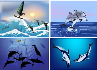 Papier Peint photo Lavable Dauphins ensemble de compositions avec des dauphins