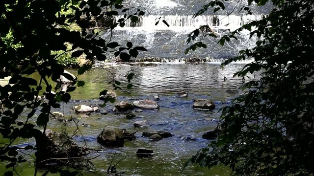 Schwentine 2