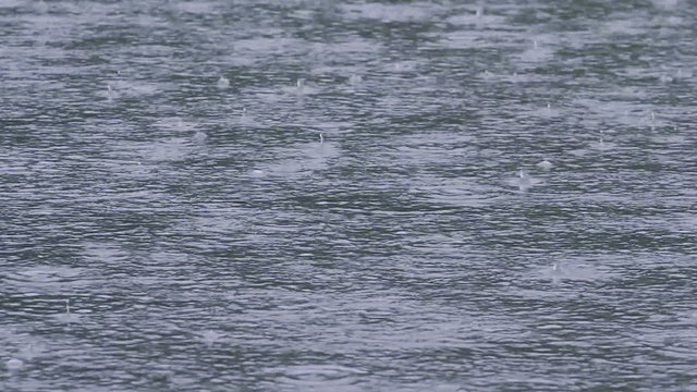 Raindrops falling into a pond