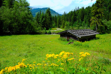 Fototapeta premium Almhütte, Wiese und Berge