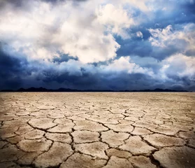 Fotobehang drought earth © pikoso.kz