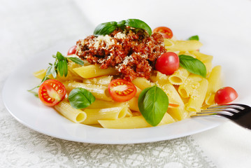 Pasta rigatoni on the white plate