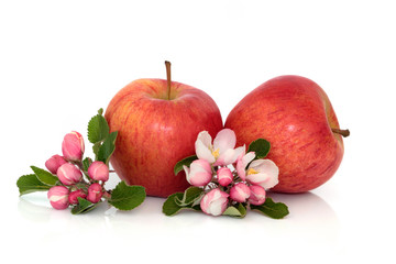 Apple Fruit with Blossom