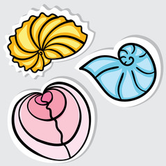 Shells. Set of beautiful cockleshells.