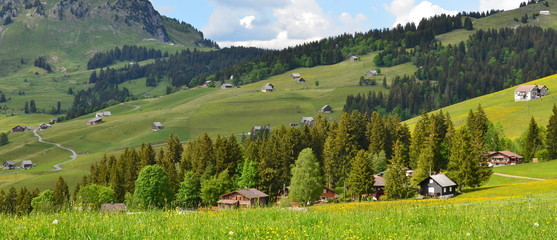 suisse alpine au printemps