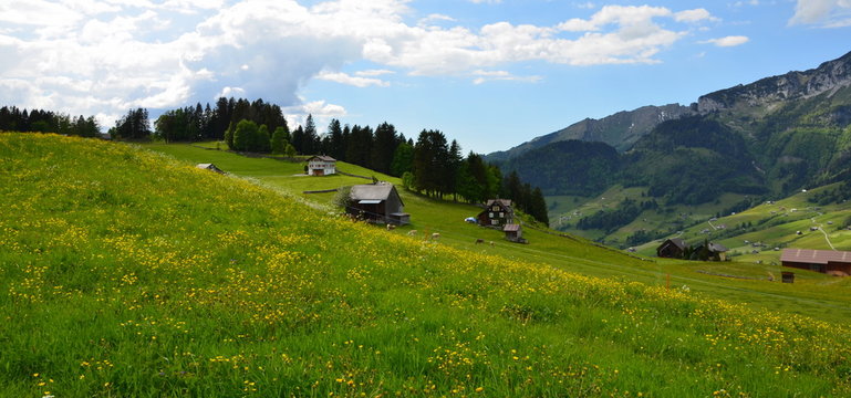 suisse alpine au printemps