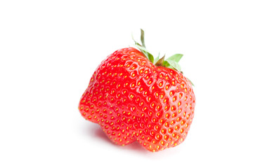 big juicy red ripe strawberries  isolated on white