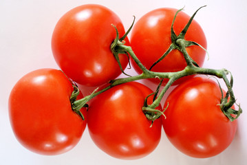 Fresh Garden Tomatoes