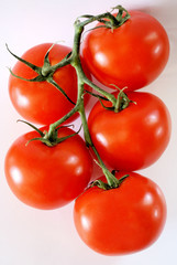 Tomatoes On The Vine