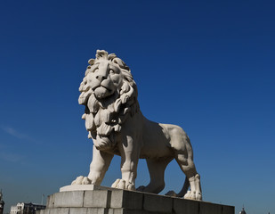Obraz premium White lion statue guarding in London