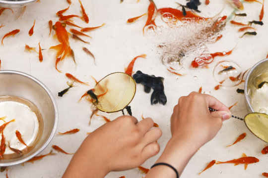 72 Best 金魚掬い Images Stock Photos Vectors Adobe Stock 72 Best 金魚掬い Images Stock Photos Vectors Adobe Stock