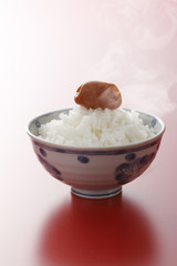 ご飯と梅干し